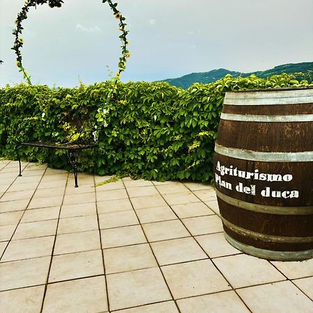 Agriturismo Pian Del Duca Vesime エクステリア 写真