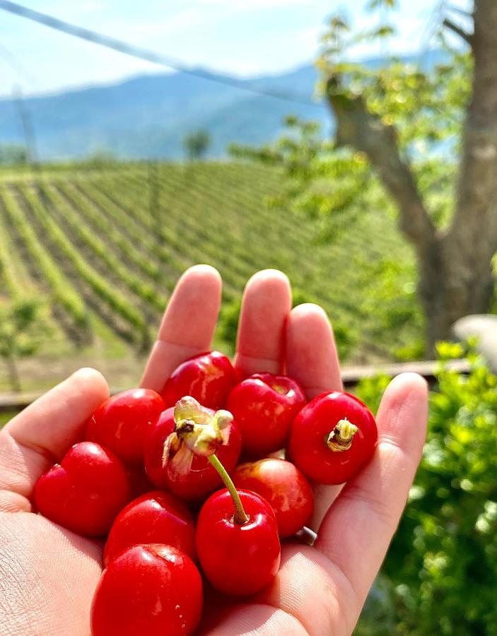 Agriturismo Pian Del Duca Vesime エクステリア 写真