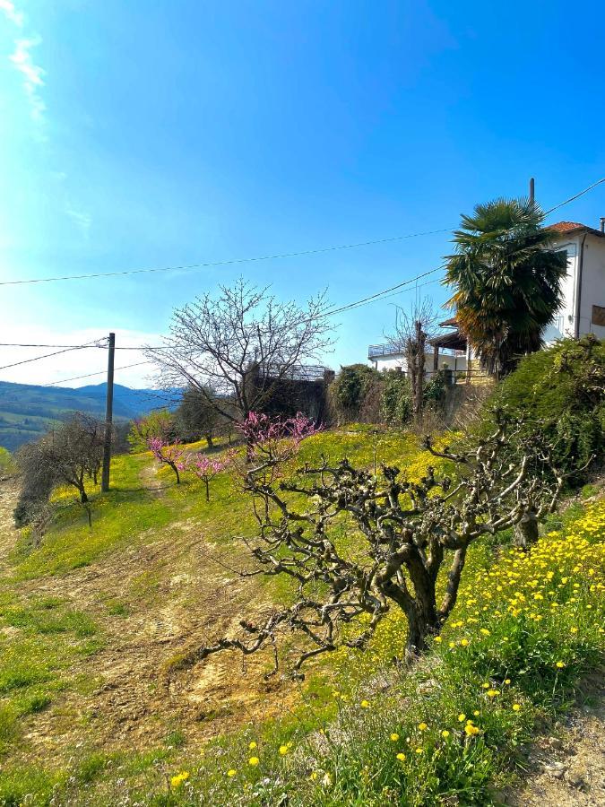 Agriturismo Pian Del Duca Vesime エクステリア 写真
