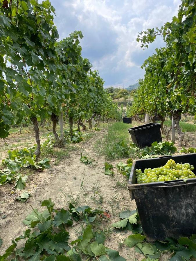Agriturismo Pian Del Duca Vesime エクステリア 写真