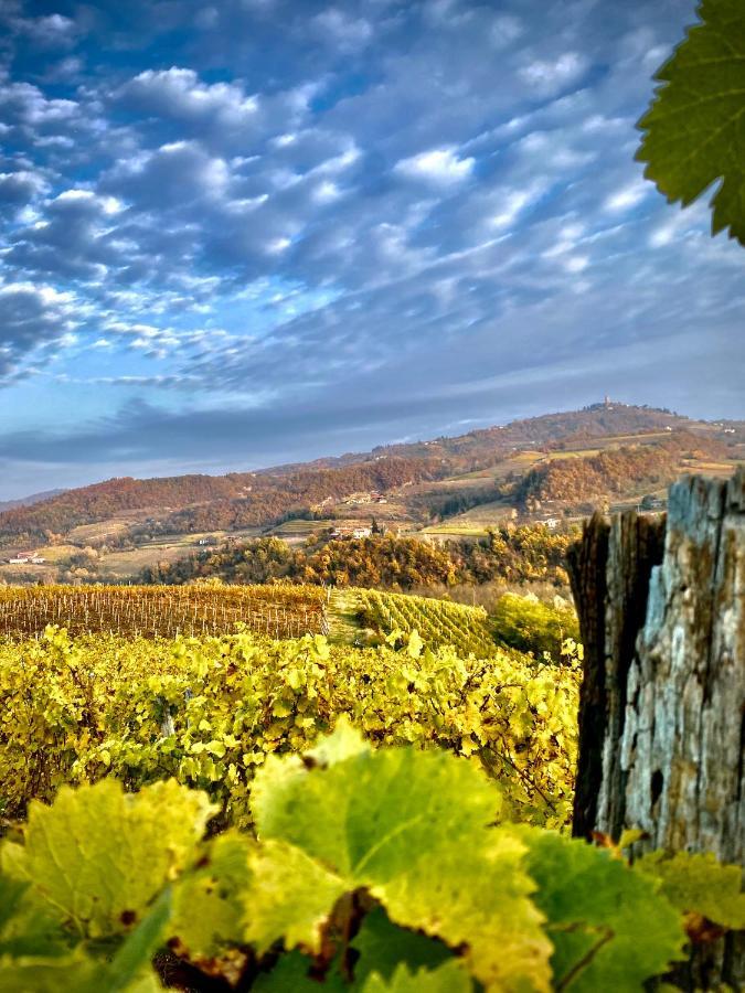 Agriturismo Pian Del Duca Vesime エクステリア 写真