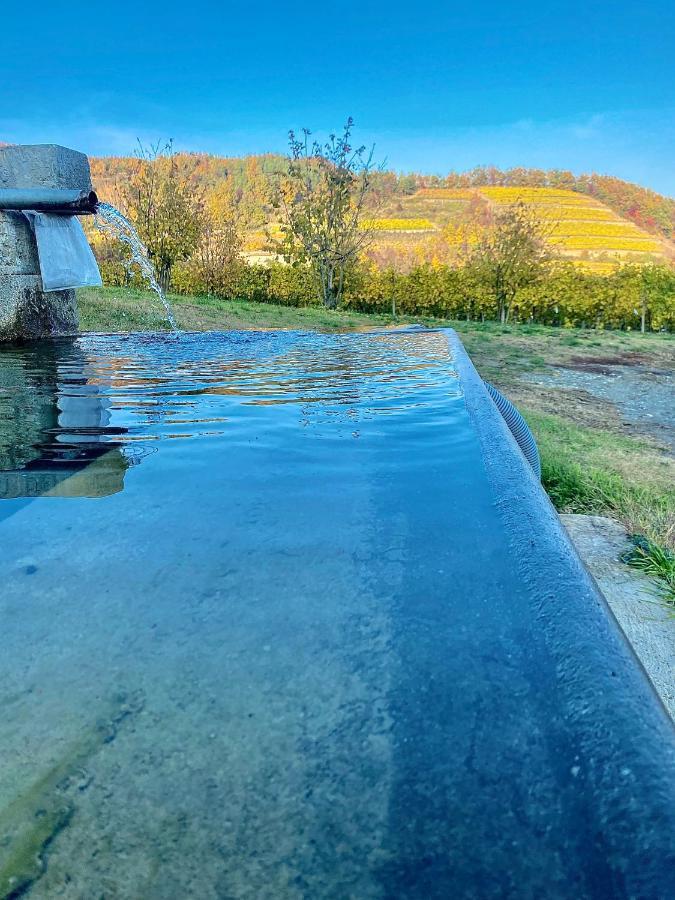 Agriturismo Pian Del Duca Vesime エクステリア 写真