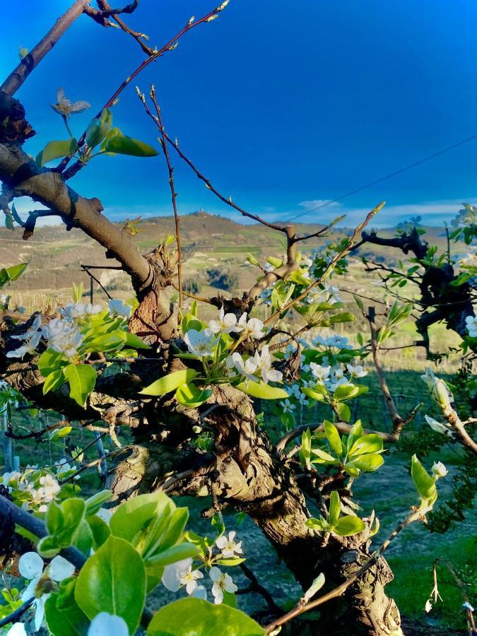Agriturismo Pian Del Duca Vesime エクステリア 写真