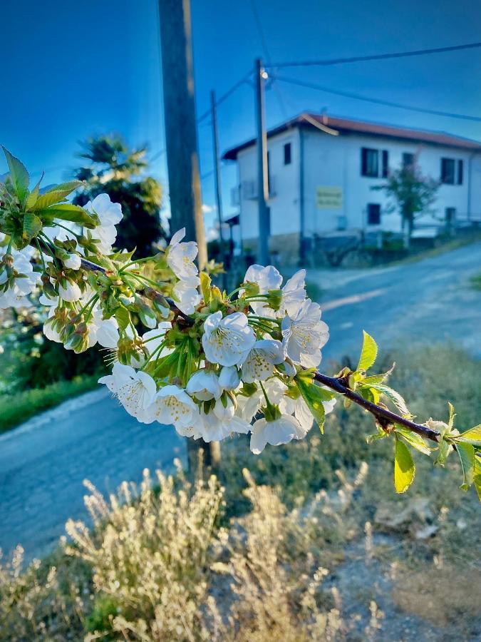 Agriturismo Pian Del Duca Vesime エクステリア 写真