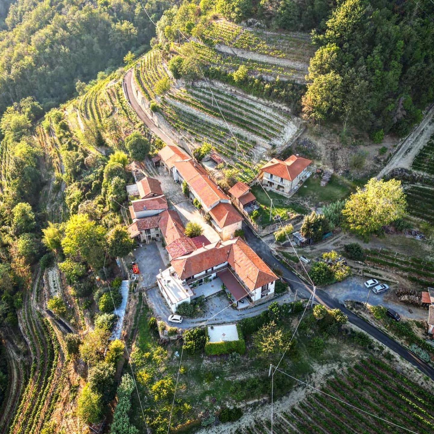 Agriturismo Pian Del Duca Vesime エクステリア 写真