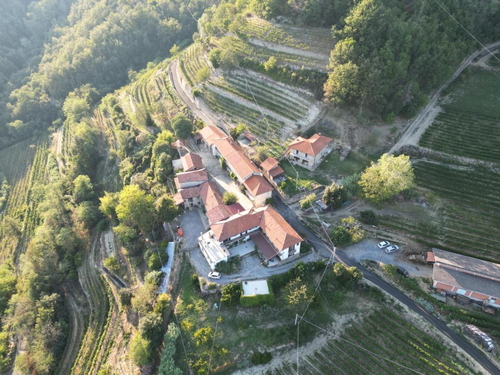 Agriturismo Pian Del Duca Vesime エクステリア 写真